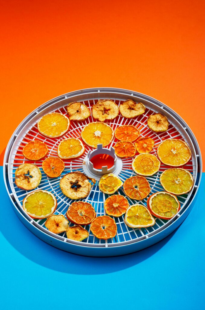 dry food preservation method for long term storage using dehydrator